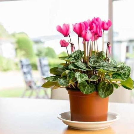 נויהרלינגרזיל Ferienhaus Boje 9 מראה חיצוני תמונה