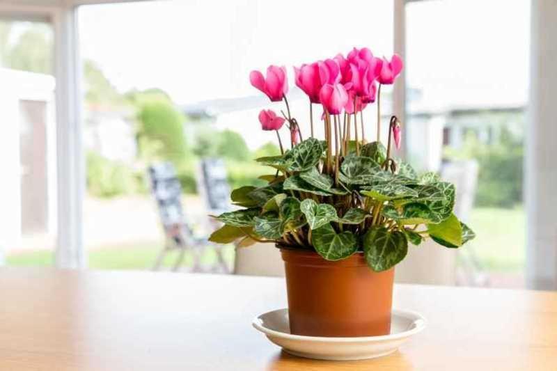 נויהרלינגרזיל Ferienhaus Boje 9 מראה חיצוני תמונה